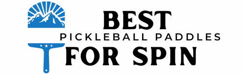 bestpickleballpaddlesforspin.com